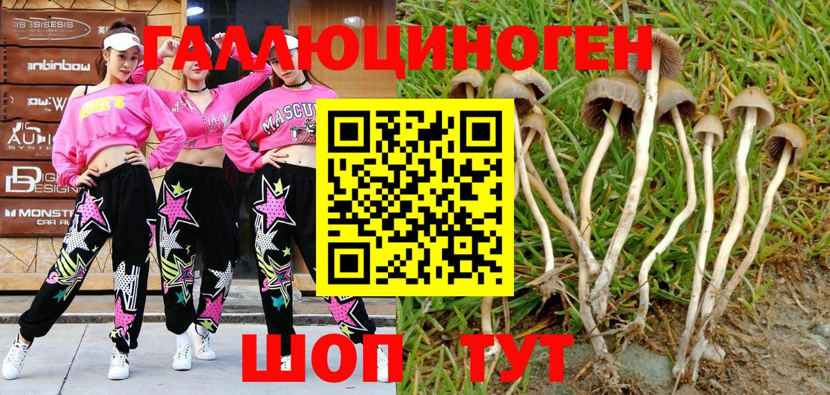 Галлюциногенные грибы GOLDEN TEACHER Кропоткин